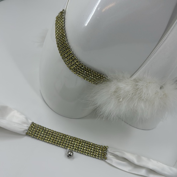 Victoria’s Secret Sexy Little Fantasies Kitty Costume Hard to Find RARE - Picture 7 of 14